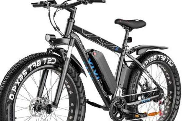 Electric bicycle
